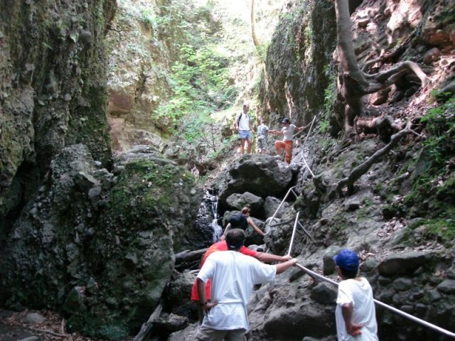 DSC05849 (Medium)